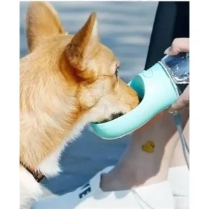 img-de-mascota-tomando-agua-bebedero-de-agua-para-mascotas