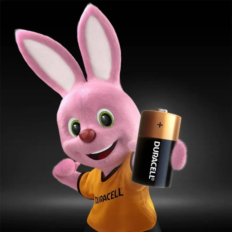img-blister-2-unidaes-de-pilas-duracell-d